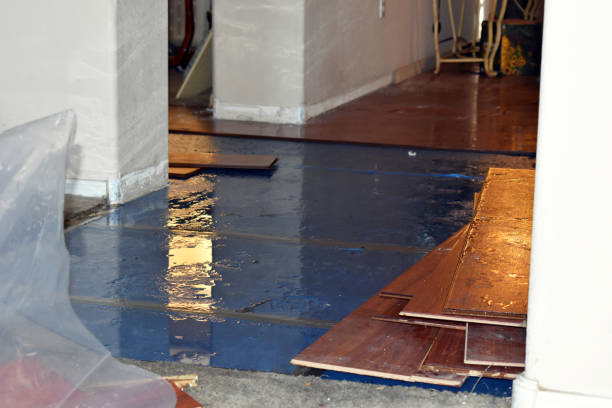 Professional Sewage Cleanup technician working in Dighton, MA